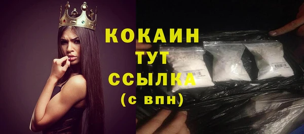 сатива Аркадак