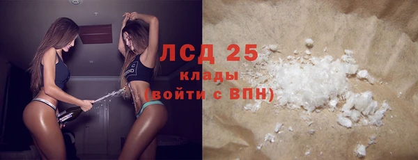 индика Тобольск